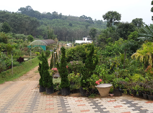 Ezhuvelil Gardens, PLANT NURSERIES,  service in Kottayam, Kottayam