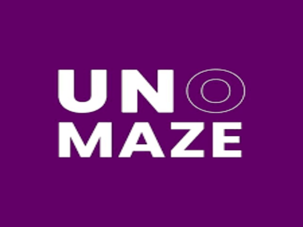 Unomaze Pvt Ltd, CONSULTANCY,  service in Thrissur, Thrissur