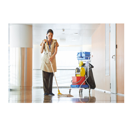 LABOURS, CLEANING in Kerala